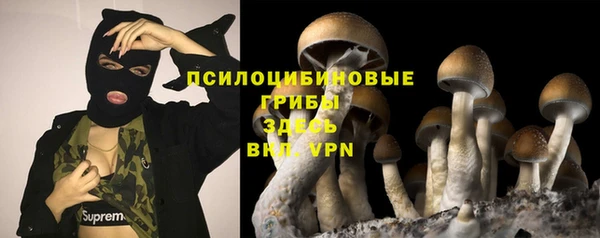 скорость Нея