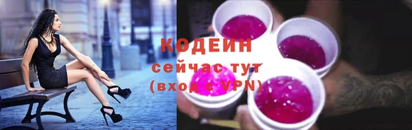 дмт Новодвинск