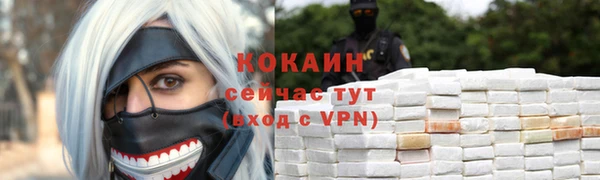 дмт Новодвинск