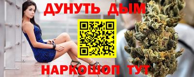 гидра Ставрополь