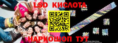 гидра Ставрополь