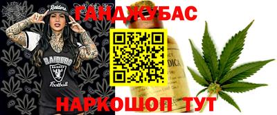 гидра Ставрополь