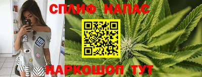 гидра Ставрополь