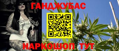 гидра Ставрополь