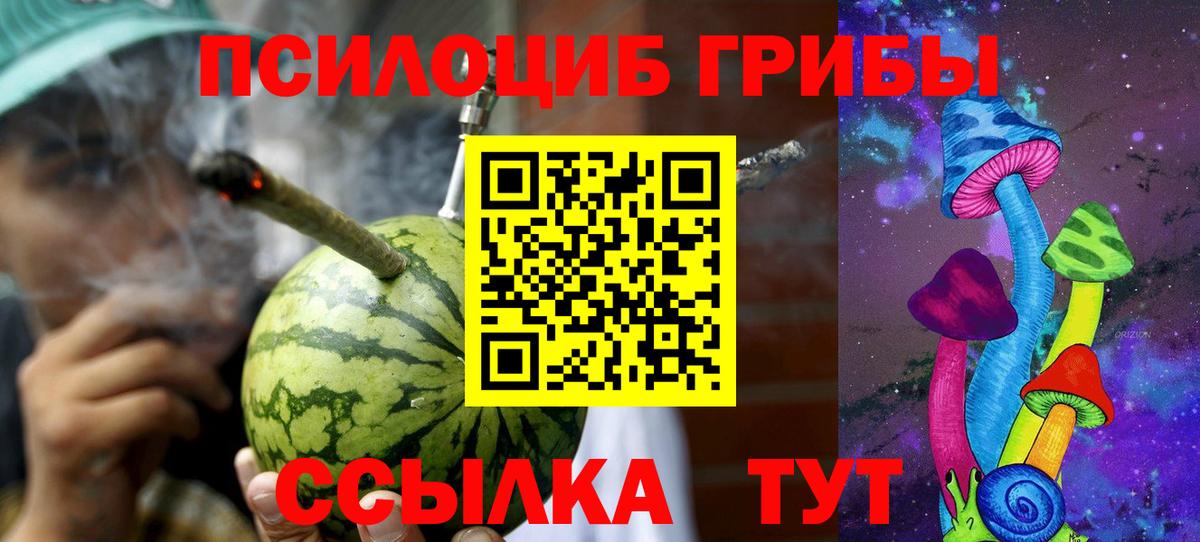 Советск  Галлюциногенные грибы Psilocybine cubensis  Вход с VPN 